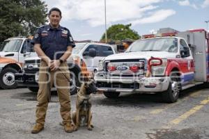 PC . CANINO PRIMEROS AUXILIOS