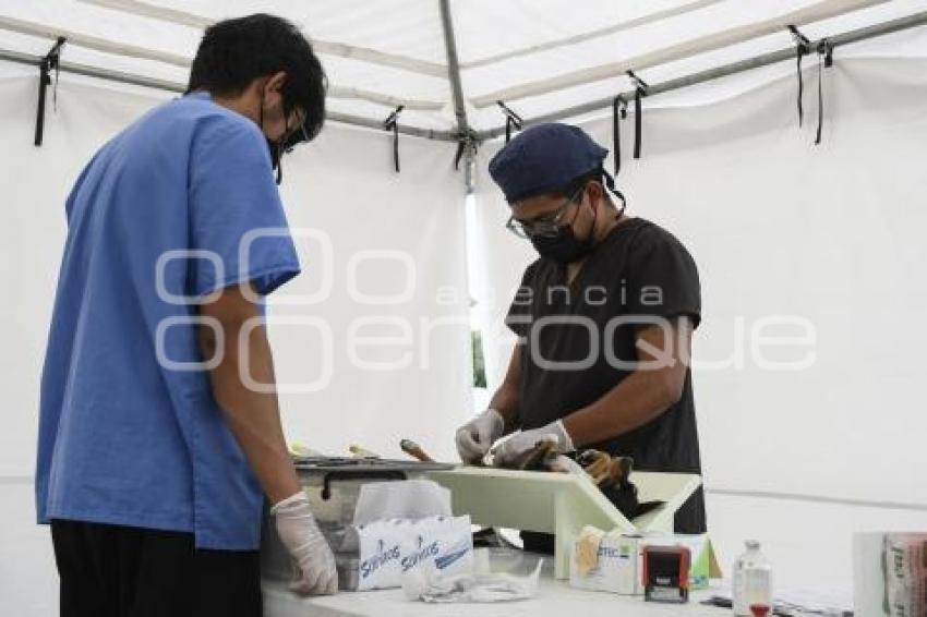 TLAXCALA . JORNADA ESTERILIZACIÓN