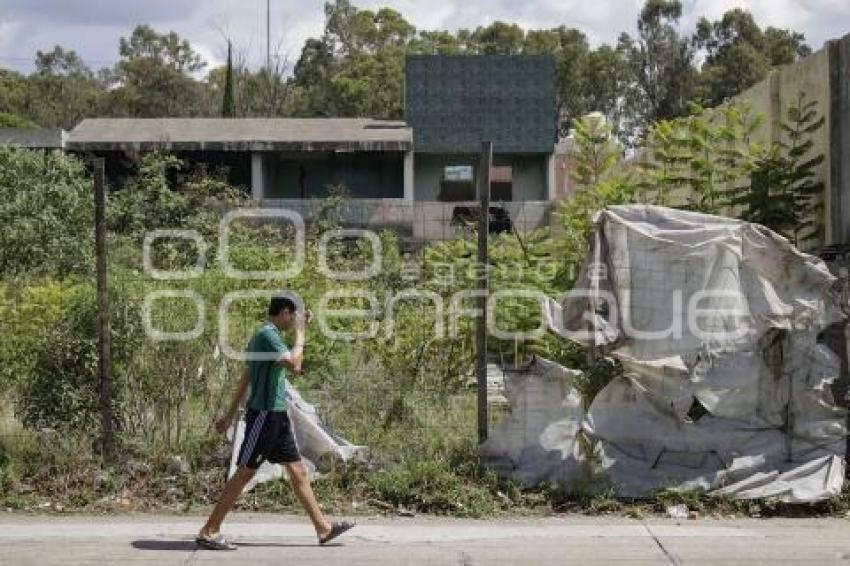 LOTES ABANDONADOS