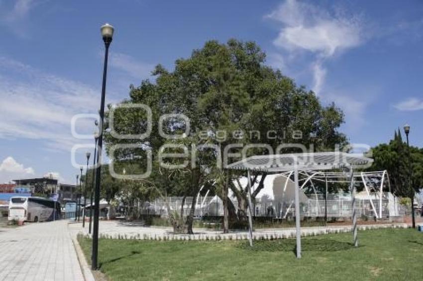 PARQUE DE ANALCO . REHABILITACIÓN