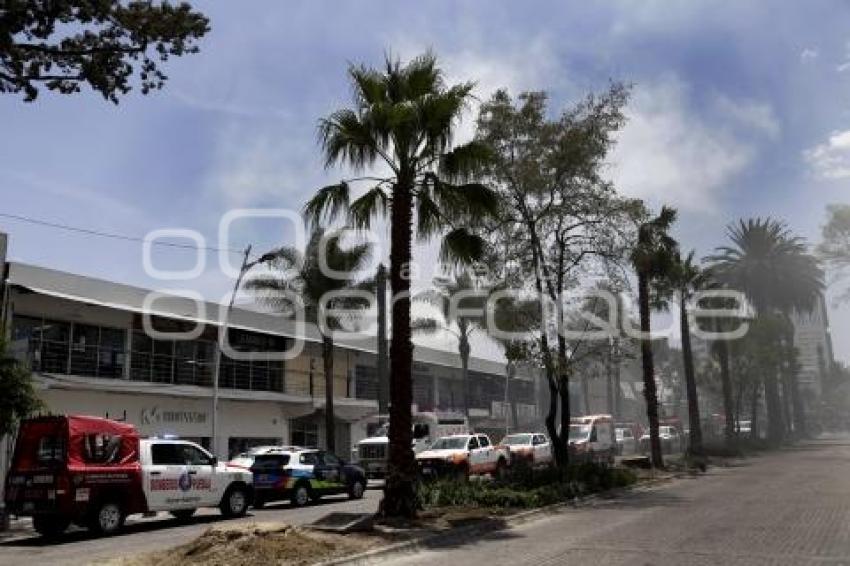 INCENDIO AVENIDA JUÁREZ