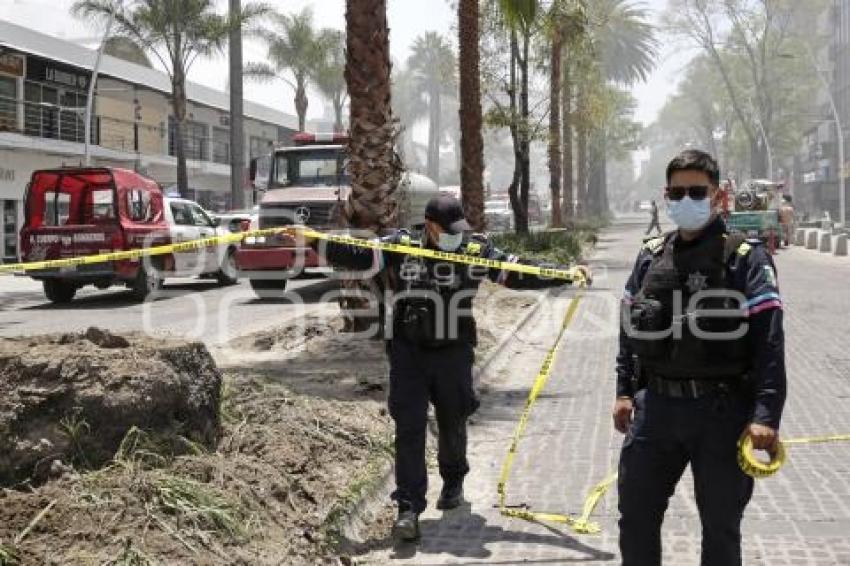 INCENDIO AVENIDA JUÁREZ