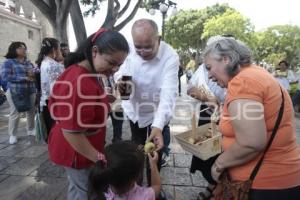 GRAN FERIA DE LA MANZANA