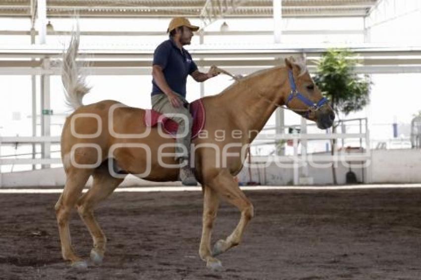 CEMERI . CONCIERTO INFANTIL