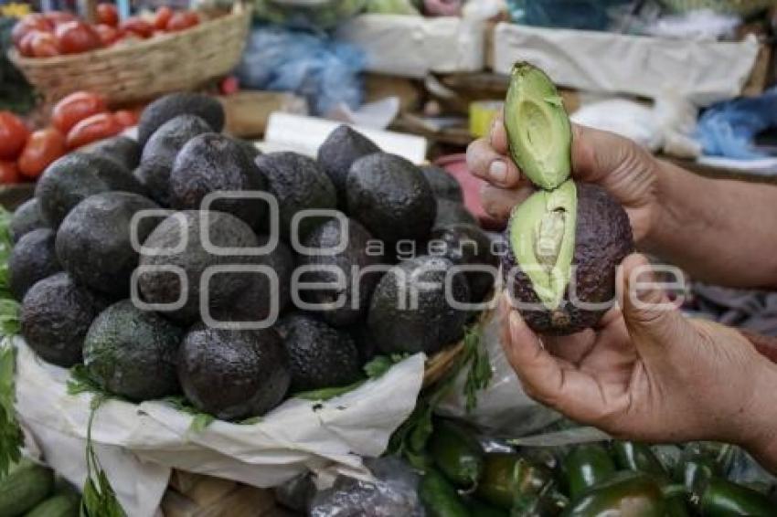 DÍA INTERNACIONAL DEL AGUACATE