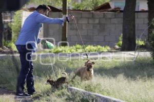 AYUNTAMIENTO . REHABILITACIÓN DE PARQUE