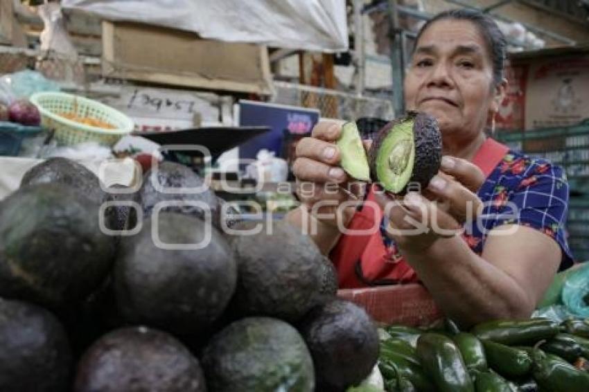 DÍA INTERNACIONAL DEL AGUACATE