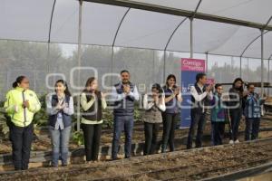 AYUNTAMIENTO . AGRICULTURA URBANA