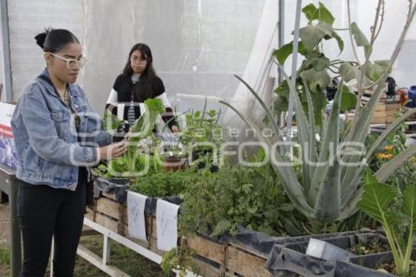 AYUNTAMIENTO . AGRICULTURA URBANA