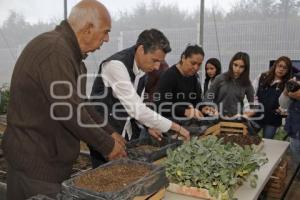 AYUNTAMIENTO . AGRICULTURA URBANA