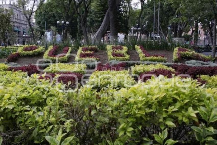 ZÓCALO . LETRAS PUEBLA