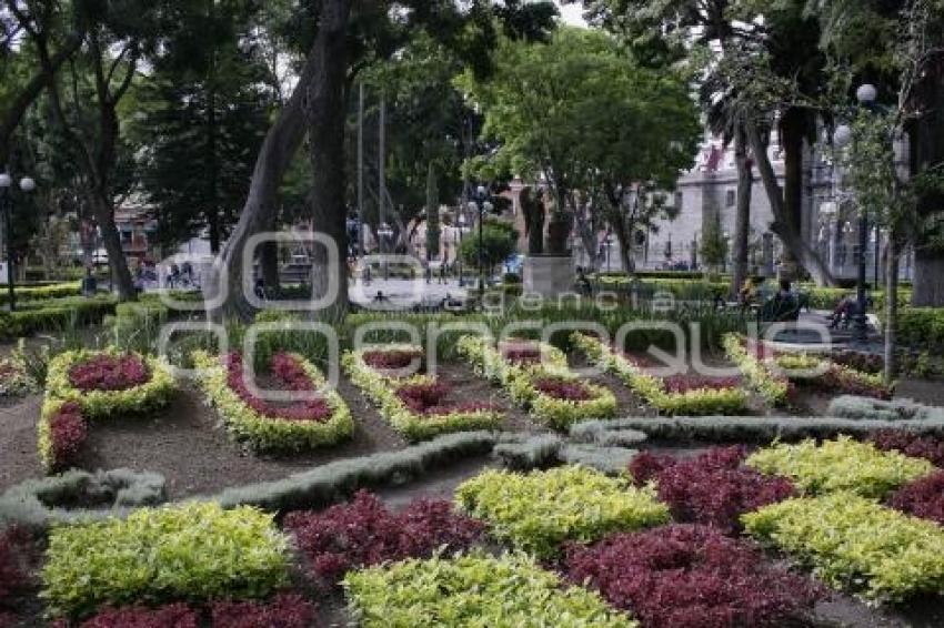 ZÓCALO . LETRAS PUEBLA