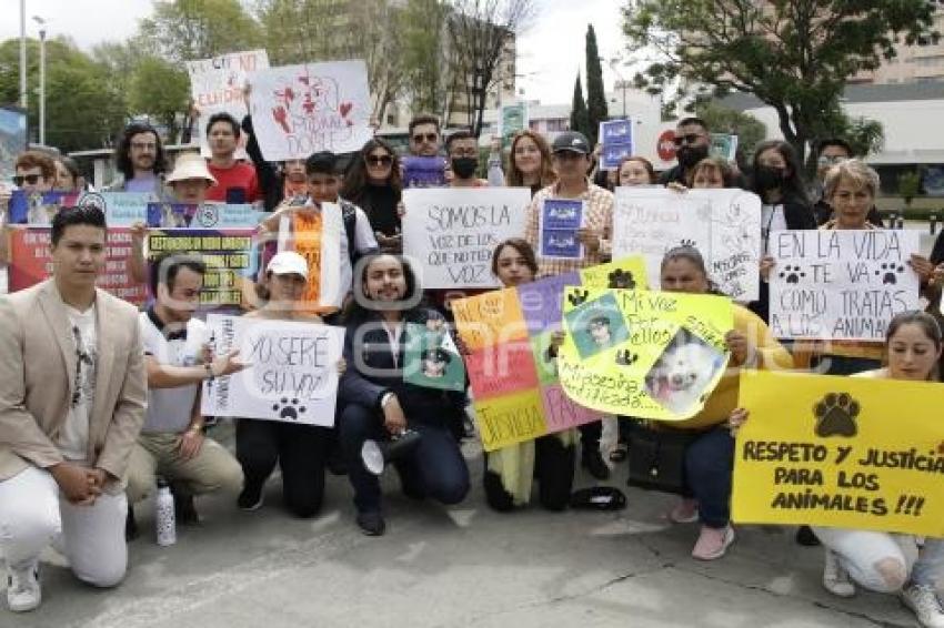 PROTESTA . MALTRATO ANIMAL