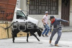 TLAXCALA . CHIAUTEMPADA