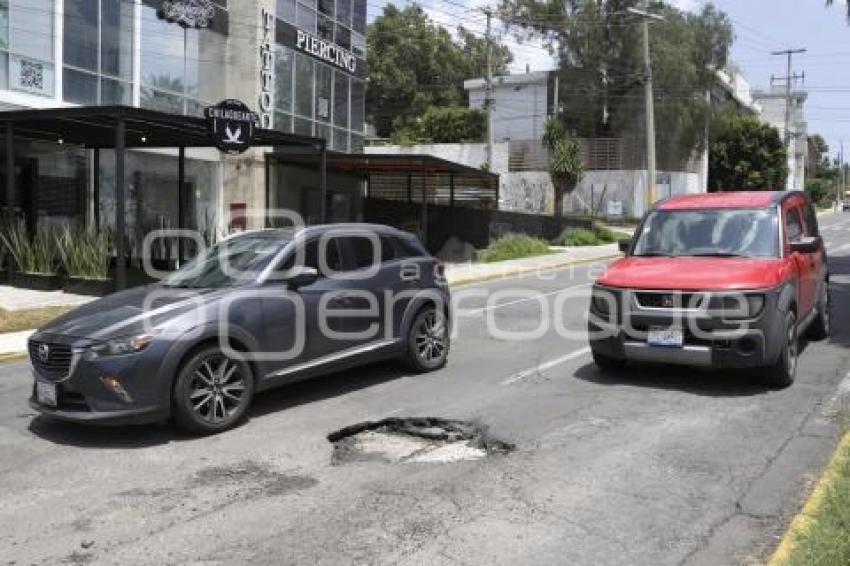 BACHE . COLONIA LA PAZ