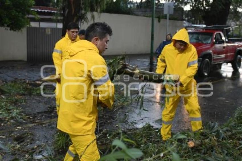 TLAXCALA . AFECTACIONES POR LLUVIA