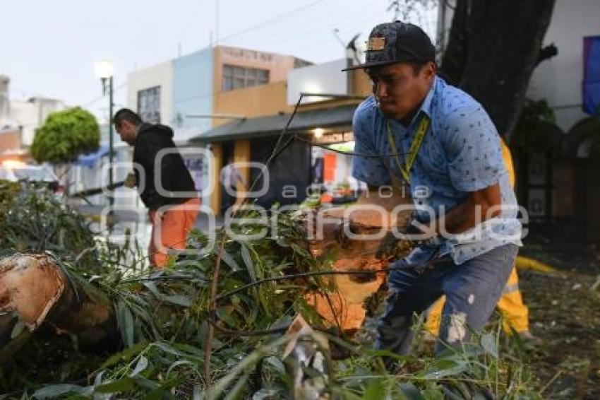 TLAXCALA . AFECTACIONES POR LLUVIA