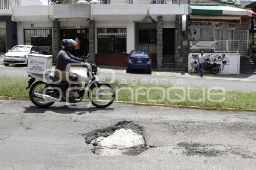 BACHE . COLONIA LA PAZ