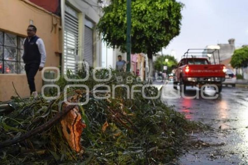 TLAXCALA . AFECTACIONES POR LLUVIA