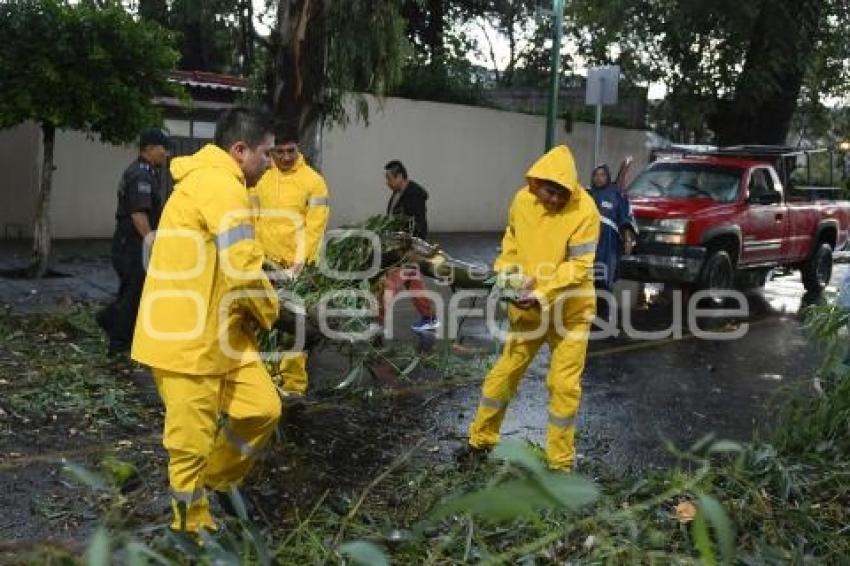 TLAXCALA . AFECTACIONES POR LLUVIA