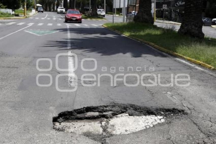 BACHE . COLONIA LA PAZ