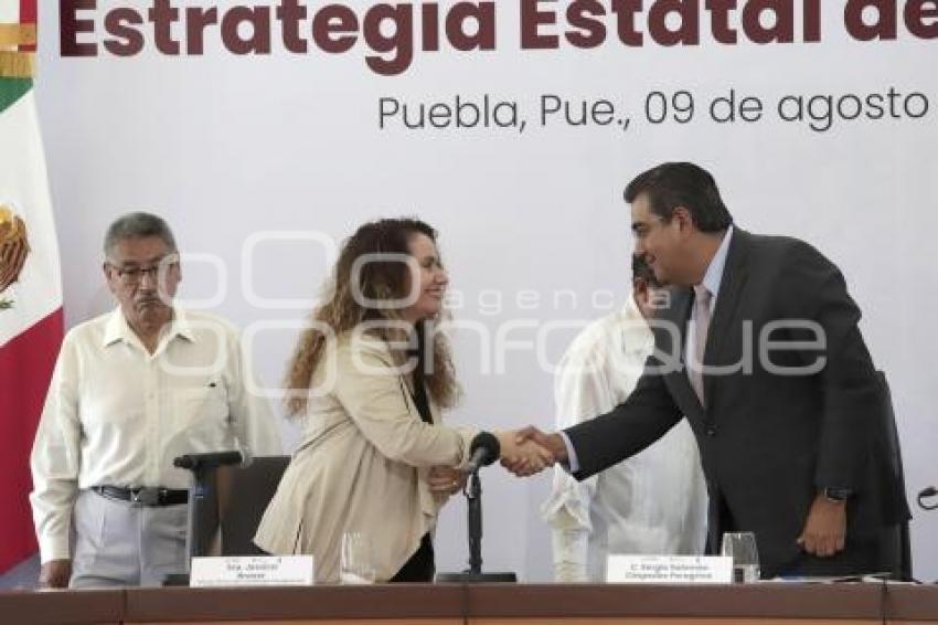 ESTRATEGIA ESTATAL DE RESILIENCIA