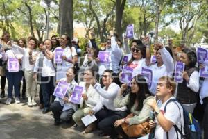 TLAXCALA . PASAPORTE VIOLETA