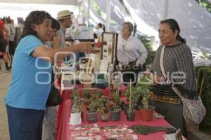 SAN PEDRO CHOLULA . EXPO MUJERES EN ACCIÓN