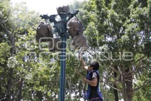 MANTENIMIENTO LAMPARAS ZÓCALO