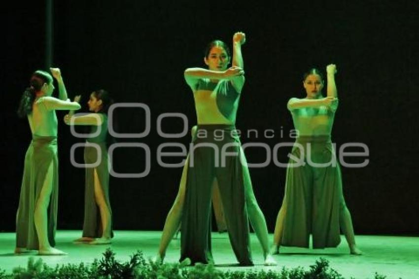 DANZA ESCÉNICA RUMBOS