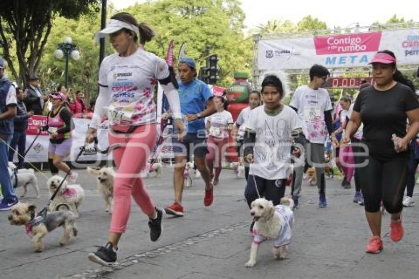 CARRERA CONTIGO Y TUS PERRITOS