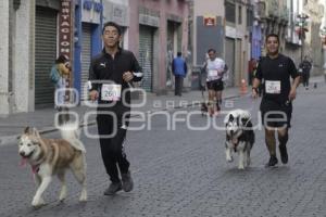 CARRERA CONTIGO Y TUS PERRITOS