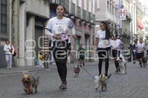 CARRERA CONTIGO Y TUS PERRITOS