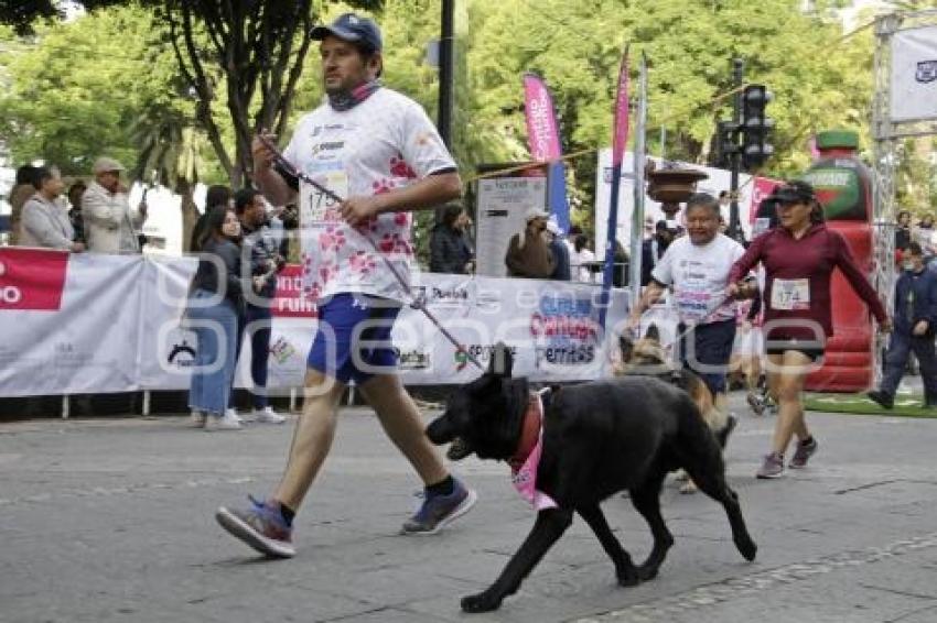 CARRERA CONTIGO Y TUS PERRITOS