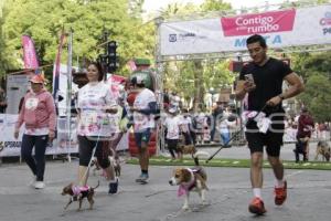 CARRERA CONTIGO Y TUS PERRITOS