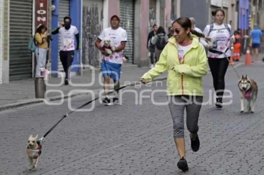 CARRERA CONTIGO Y TUS PERRITOS