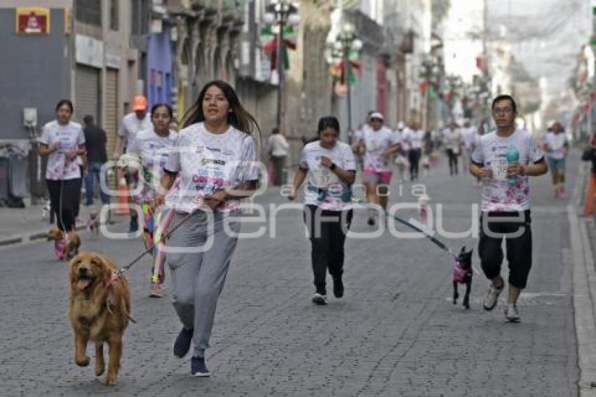 CARRERA CONTIGO Y TUS PERRITOS