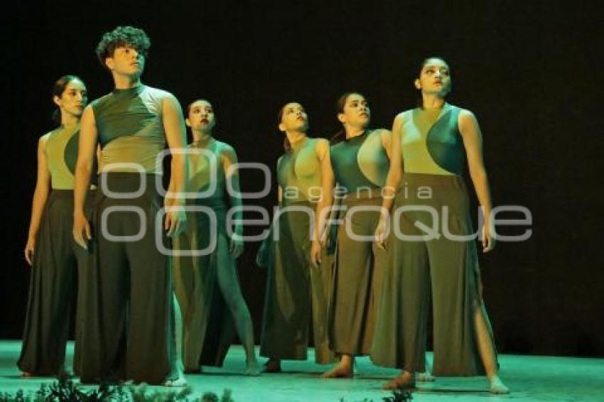 DANZA ESCÉNICA RUMBOS