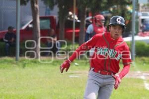 TLAXCALA . BÉISBOL