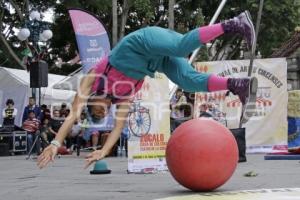 FESTIVAL DE ARTES CIRCENSES