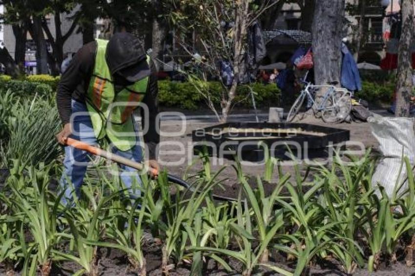 ZÓCALO . PLANTACIÓN JARDINERAS