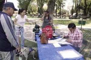 SAN PEDRO CHOLULA . MASCOTAS