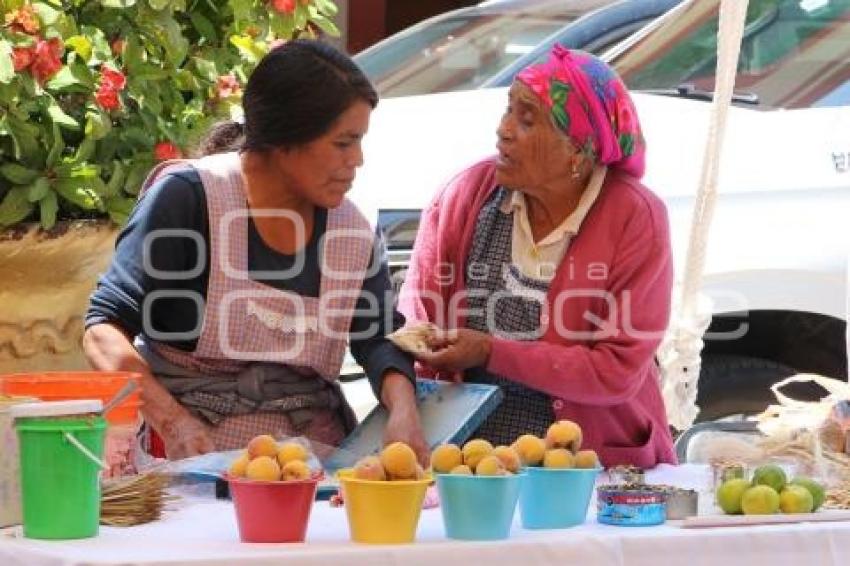 ATLIXCO . PUEBLOS INDÍGENAS