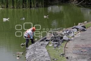 PARQUE DEL ARTE . REHABILITACIÓN