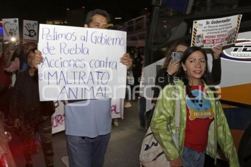 MANIFESTACIÓN MALTRATO ANIMAL