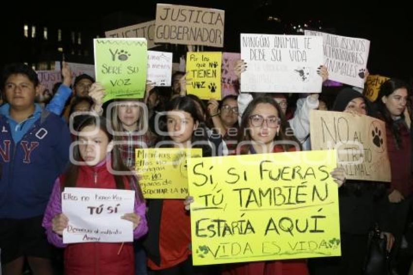 MANIFESTACIÓN MALTRATO ANIMAL