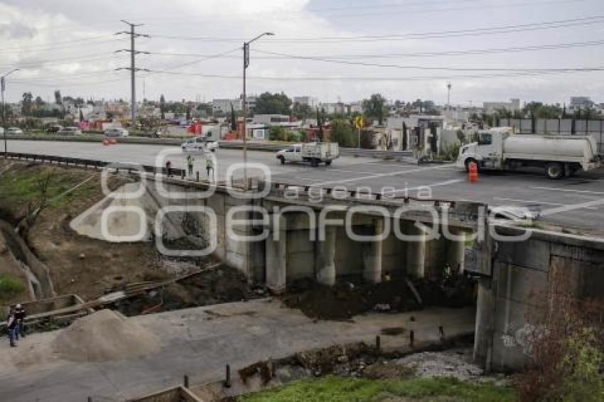 PERIFÉRICO ECOLÓGICO . PUENTE