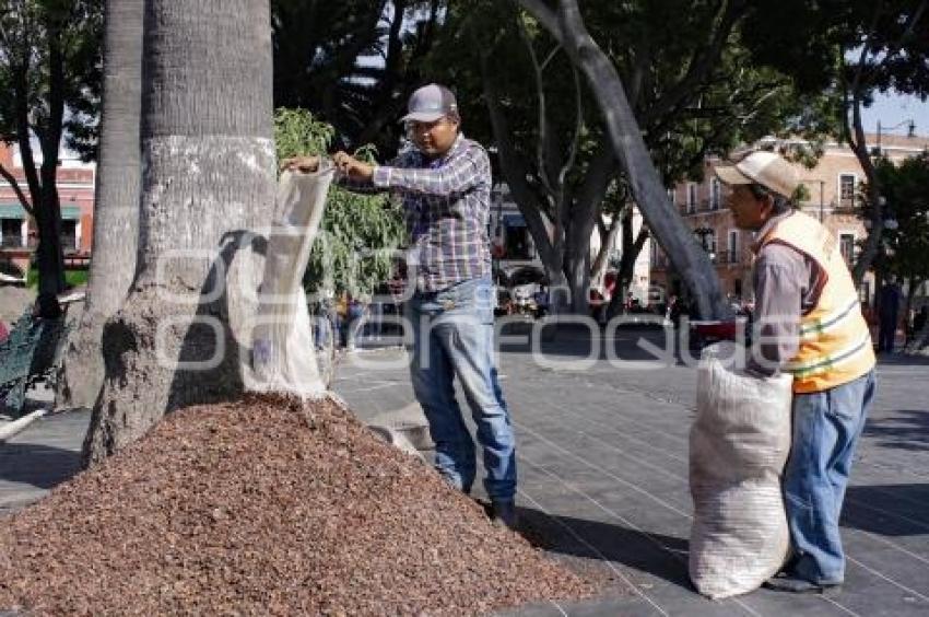 REHABILITACIÓN . ZÓCALO