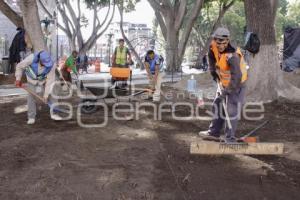 REHABILITACIÓN . ZÓCALO