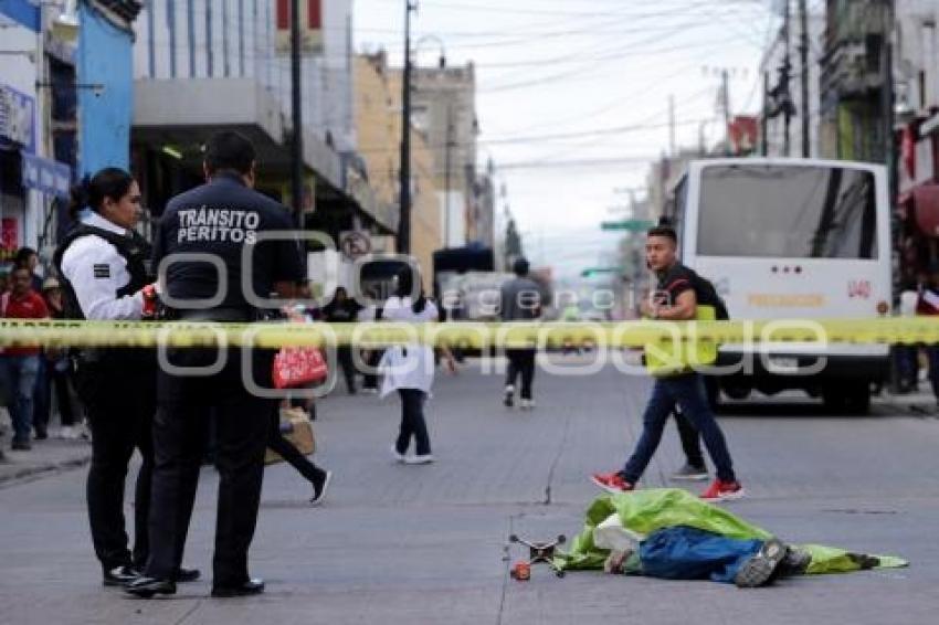 ATROPELLADA . TRANSPORTE PÚBLICO